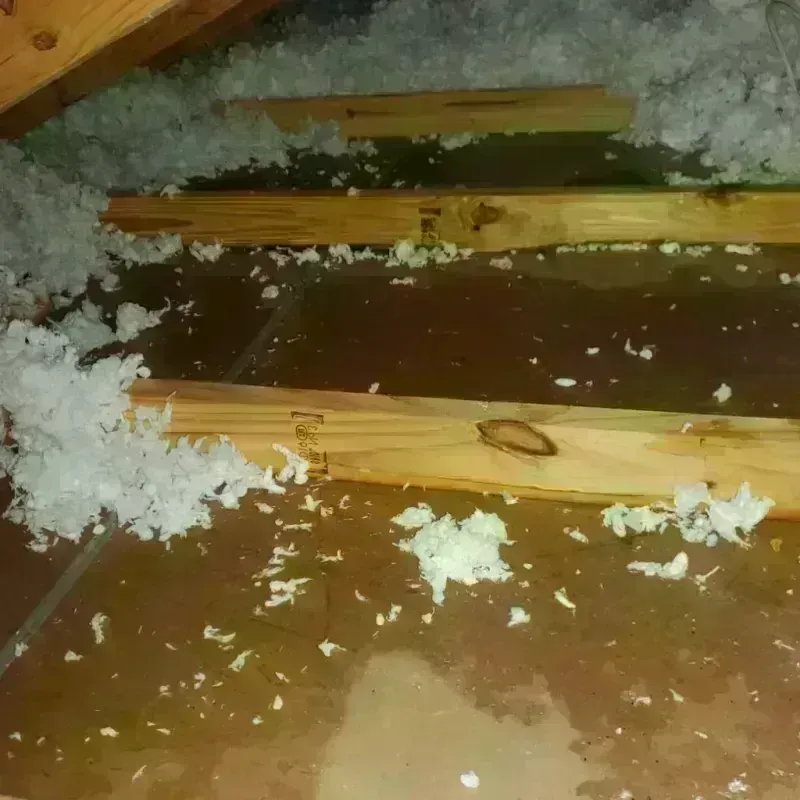 Attic Water Damage in Durham, OR